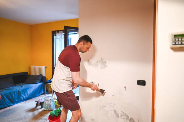 Best Mold Testing and Inspection Services in Tillson, NY
